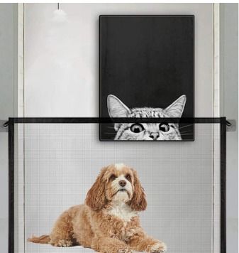 The pet needs magic gate sale