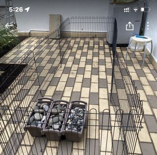 (Category: ) located in . Submitted by siglaper (Listing ID 1222328100, Image 1). Description: .