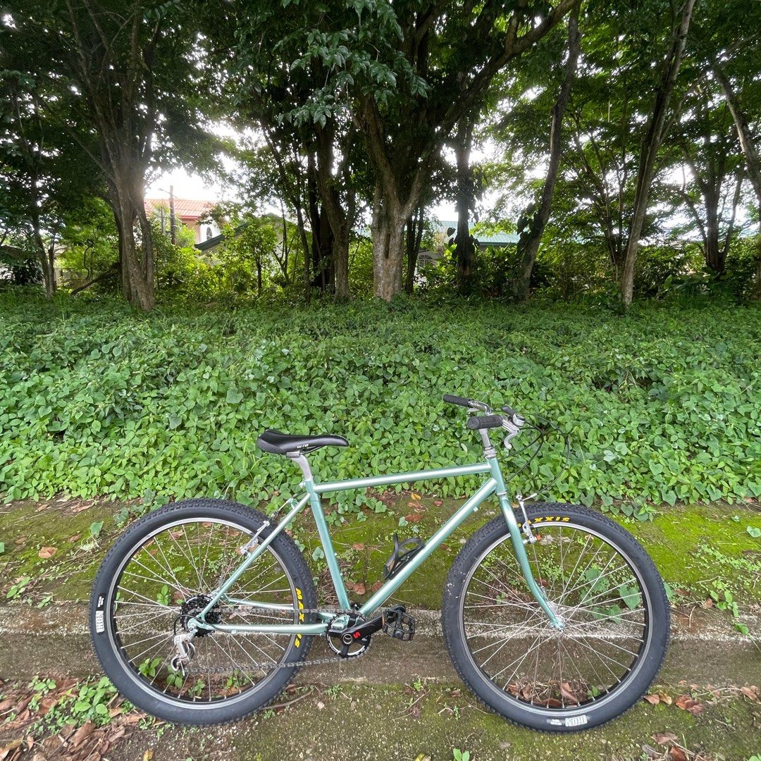 internal hub bicycle