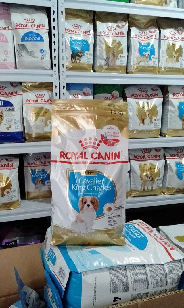 ROYAL CANIN CAVALIER KING CHARLES PUPPY 1.5KG