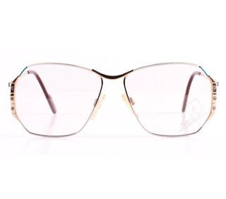 Vintage ALPINA glasses