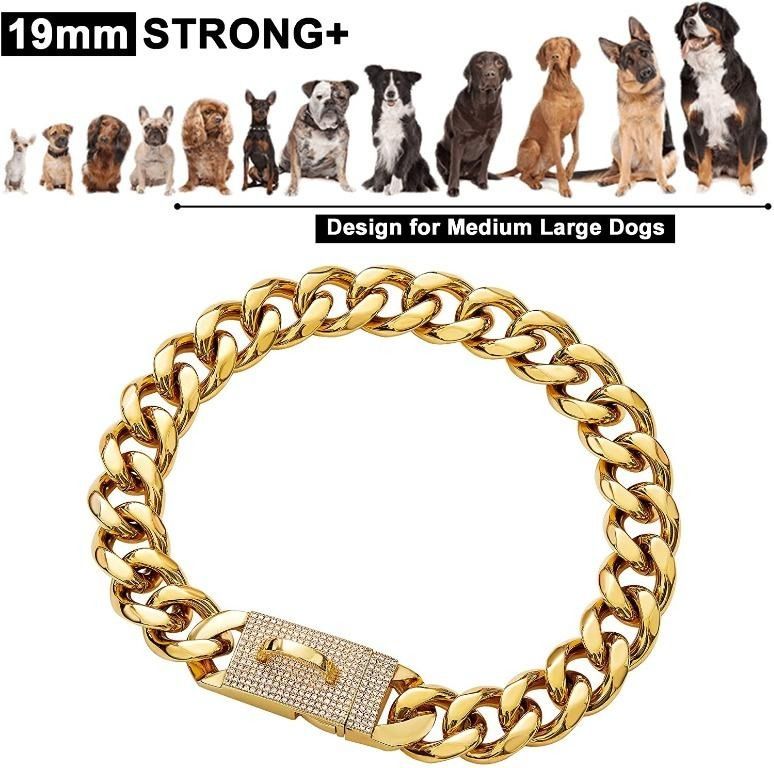 YBR Gold Chain Dog Collar with Bling Bling CZ Dimonds 19MM Heavy