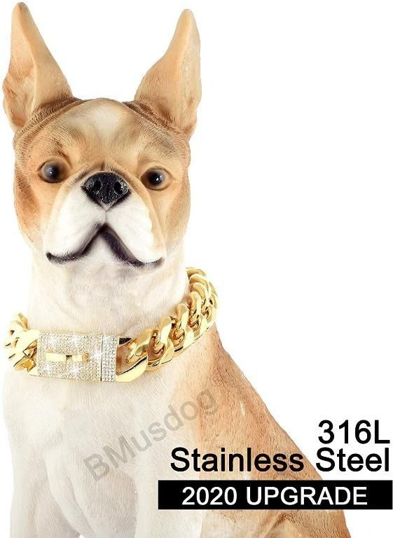 Gold chain online necklace for dogs