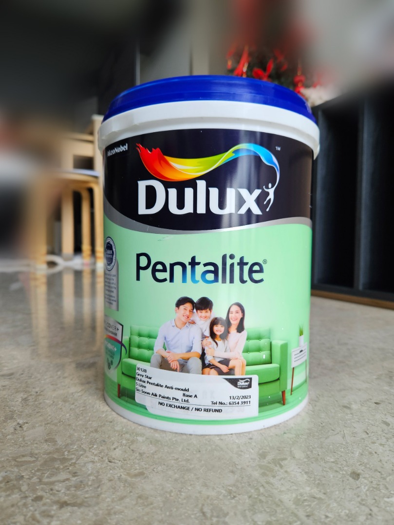 Dulux Pentalite Antimould Paint (5 Litre) Very light neutral grey