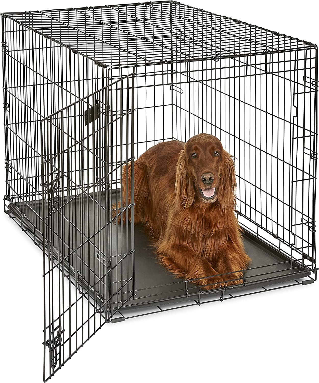 42 inch online plastic dog crate