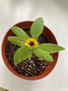 （分類：）位於 。 由 womenttt 提交（商品編號 1220520948，圖片 1）。簡介： 。