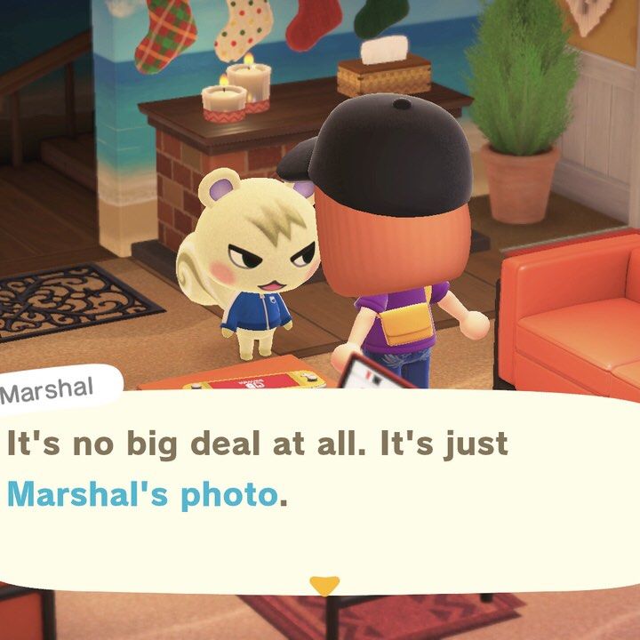 ACNH Posters and Photos (Animal Crossing New Horizons), Video Gaming