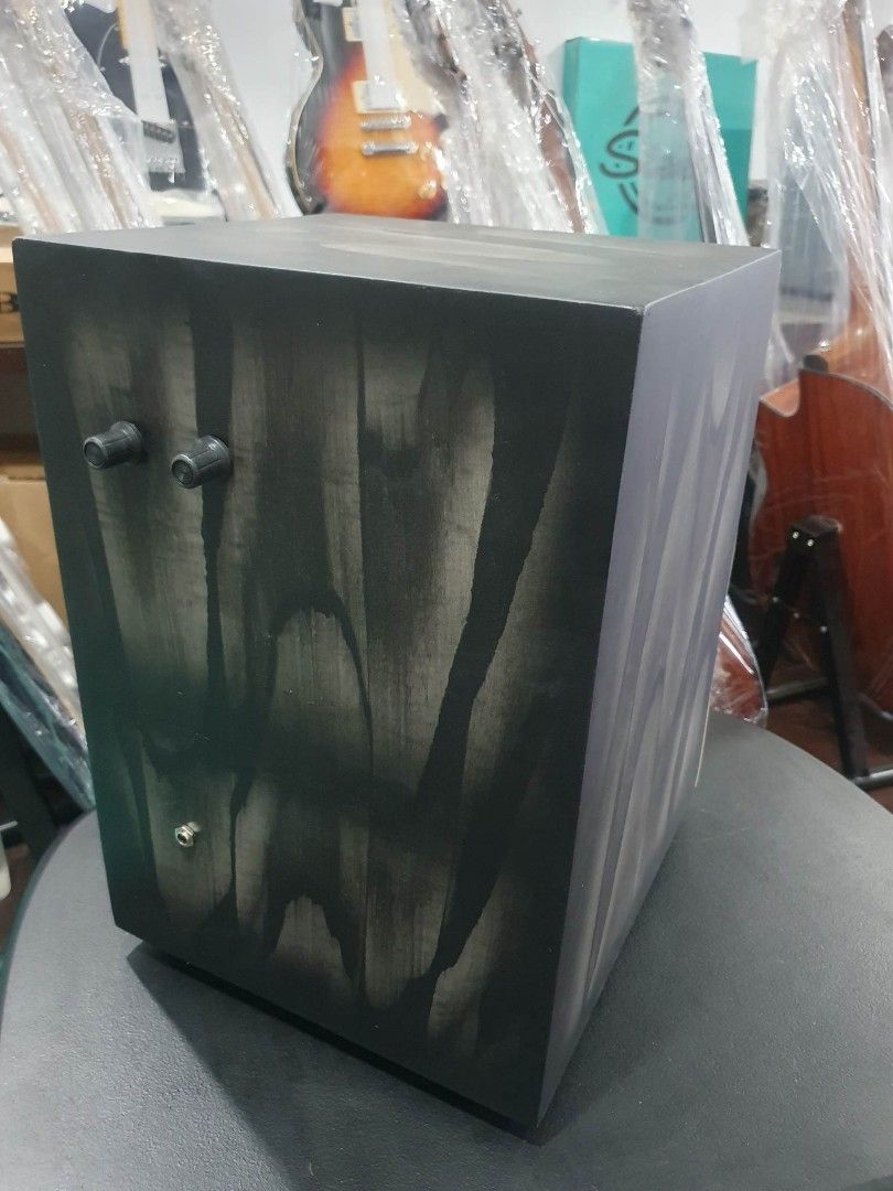 Beat Box with Bag and Pickup / Beatbox / Cajon, Hobbies & Toys, Music