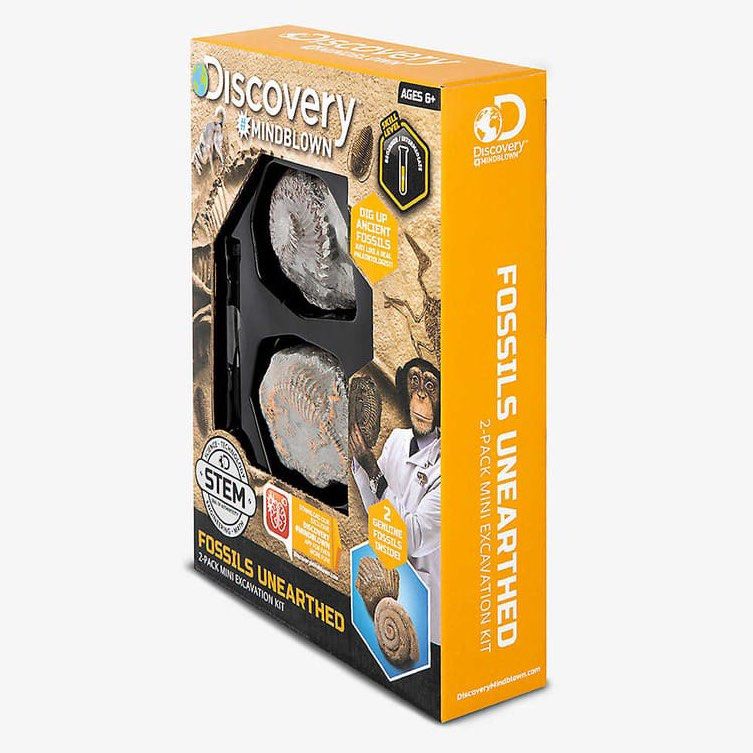 BNIB Discovery Mind Blown Fossils Unearthed, Hobbies & Toys, Toys ...