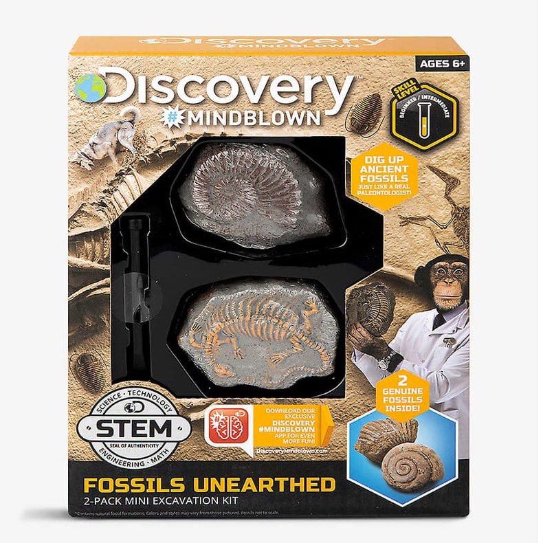 BNIB Discovery Mind Blown Fossils Unearthed, Hobbies & Toys, Toys ...