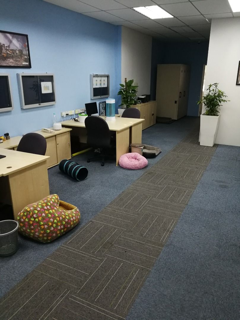 CLEANING SERVICE FOR HOME/ OFFICE KLANG VALLEY, Services, Home