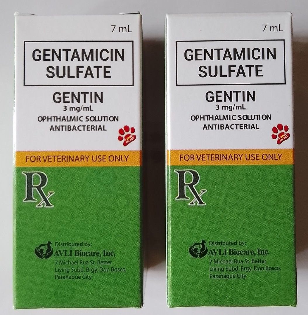 Gentin eye deals drops for dogs