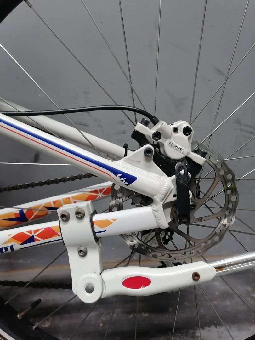 giant bike hydraulic brakes