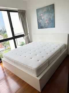 (Category: ) located in . Submitted by serena_sg (Listing ID 1222446831, Image 1). Description: .