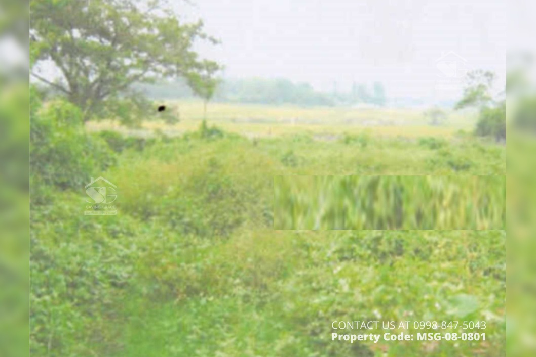 MSG080801 Brgy. Pala Pala, San Ildefonso, Bulacan (Interior