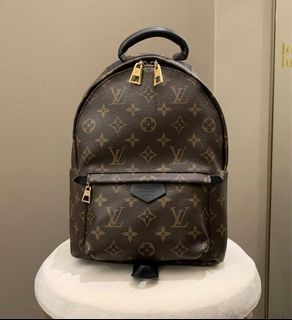 Bag Organizer for Louis Vuitton Palm Springs PM Backpack - Zoomoni