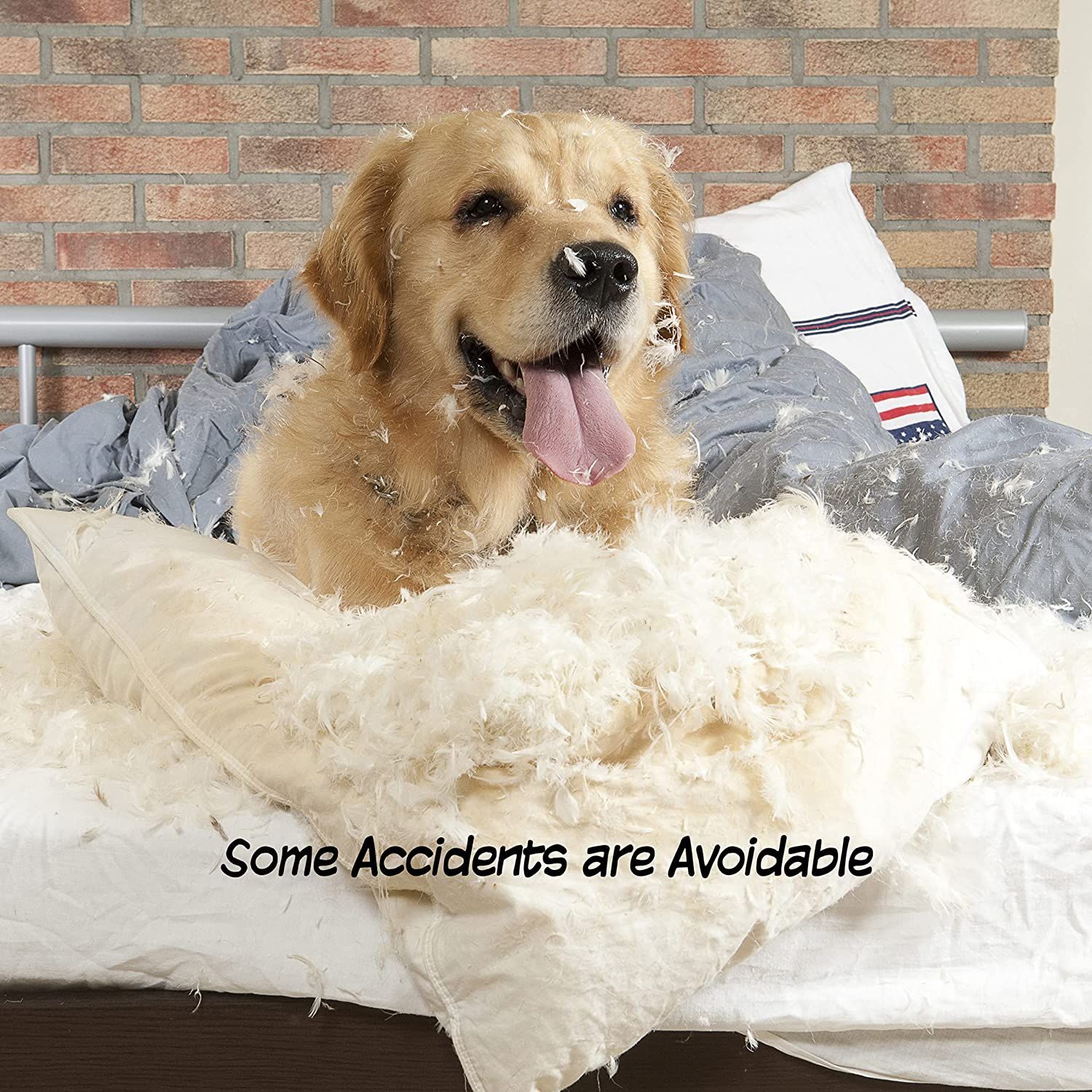 Pet Gate Collection Dog Gate for Doorways Stairs or House