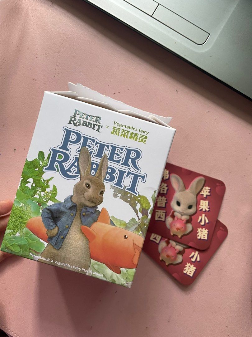 Peter Rabbit x Vegetables Fairy by Dodowo Blind Box, Hobbies & Toys