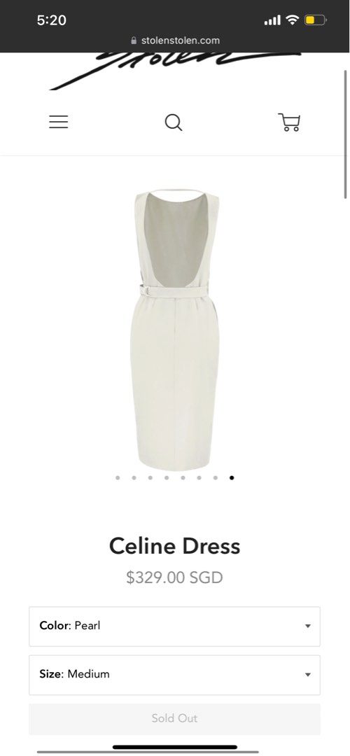 Celine Dress – Stolen