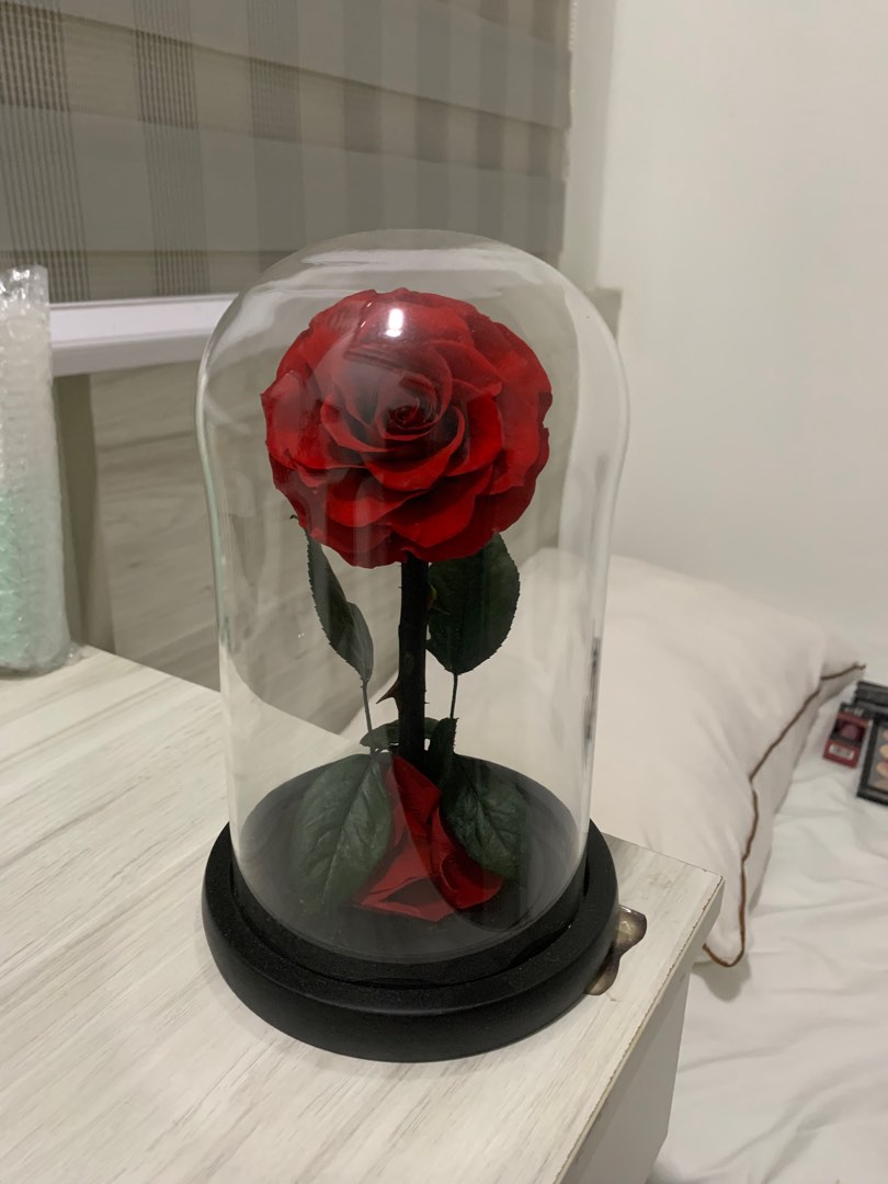 The Eternal Rose 🥀 in Glass Dome, Furniture & Home Living, Home Decor,  Artificial Plants & Flowers on Carousell