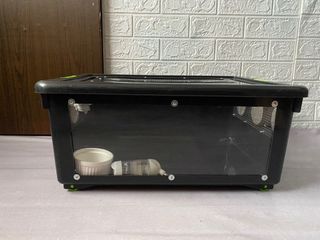 (Category: ) located in . Submitted by strbrrwy (Listing ID 1170120039, Image 1). Description: .