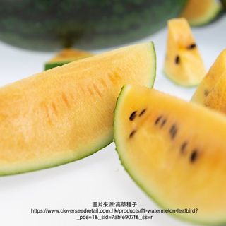 （分類：）位於 。 由 womenttt 提交（商品編號 1222678744，圖片 1）。簡介： 。