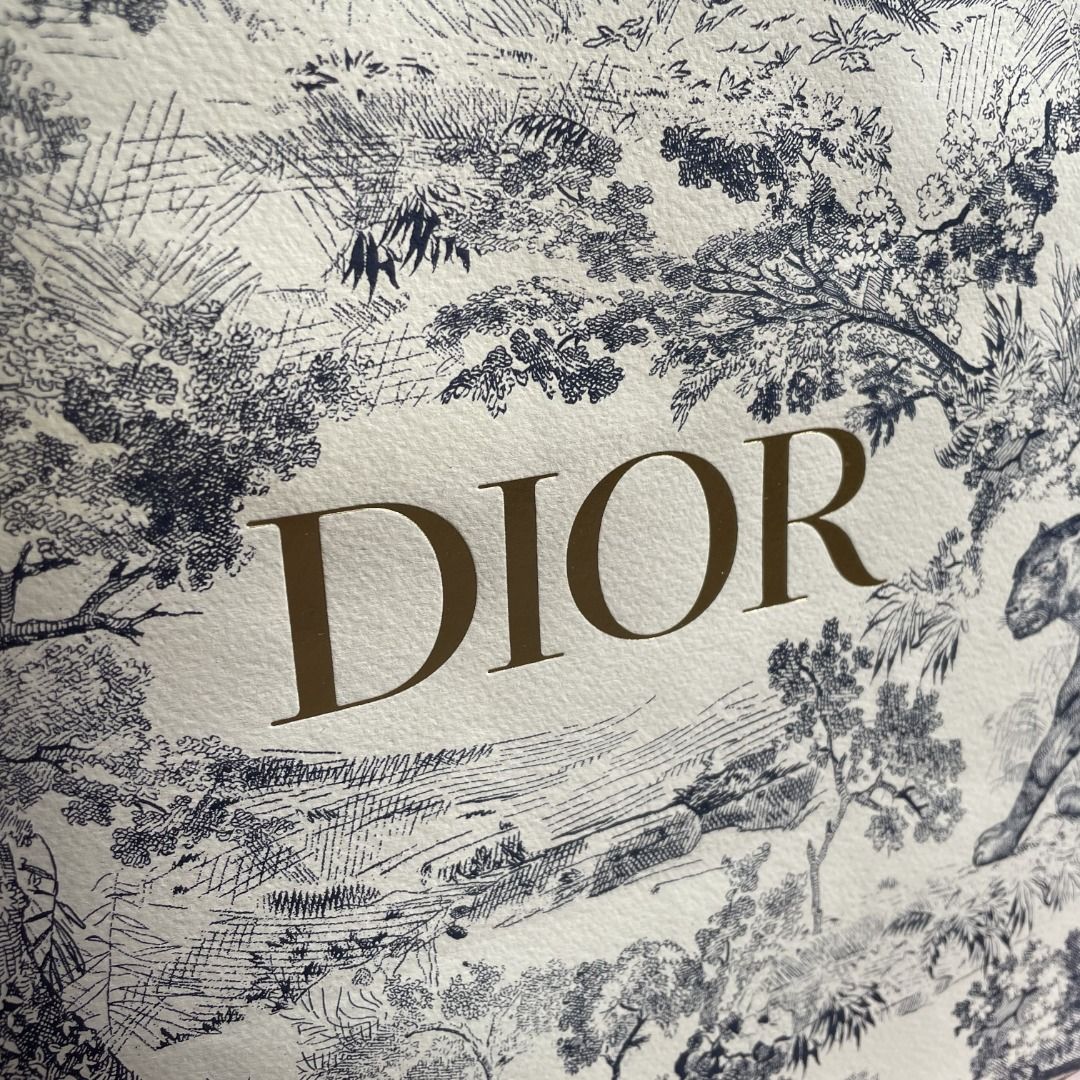 Authentic Dior Paper Bag with Blue (Category: Luxury Accessories) located in Makati City. Submitted by carlosf34941 (Listing ID 1222613224, Image 2). Description: Christian Dior Paper Bag Merari Edition Size: 12" x 12" x 6".