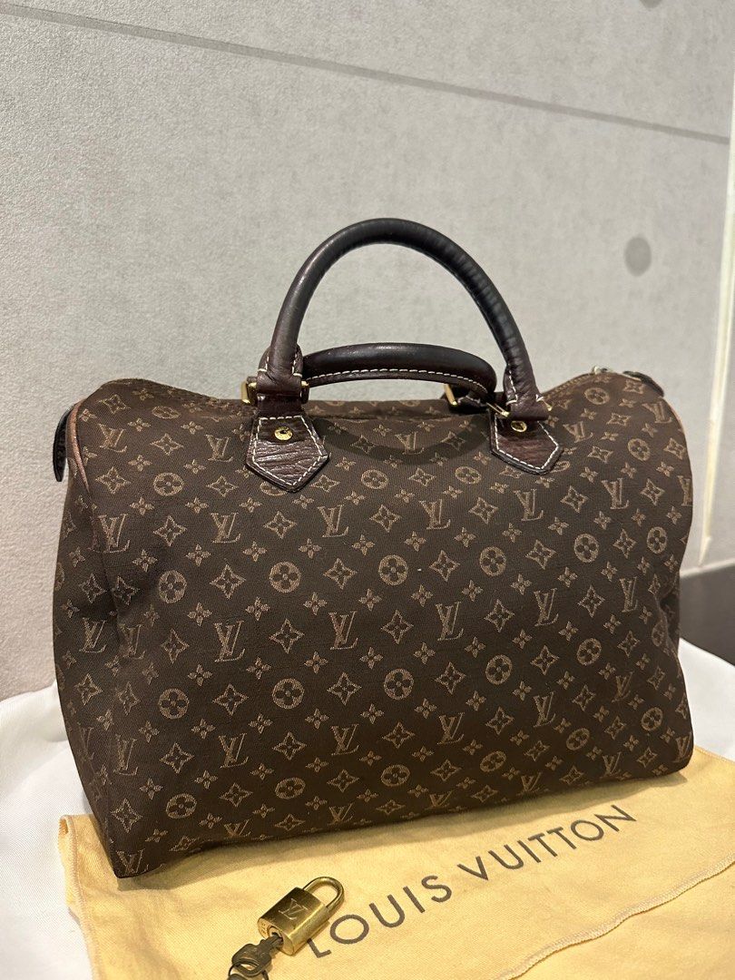Louis Vuitton Mini Lin Speedy 30 (Authentic Pre-Owned) Leather