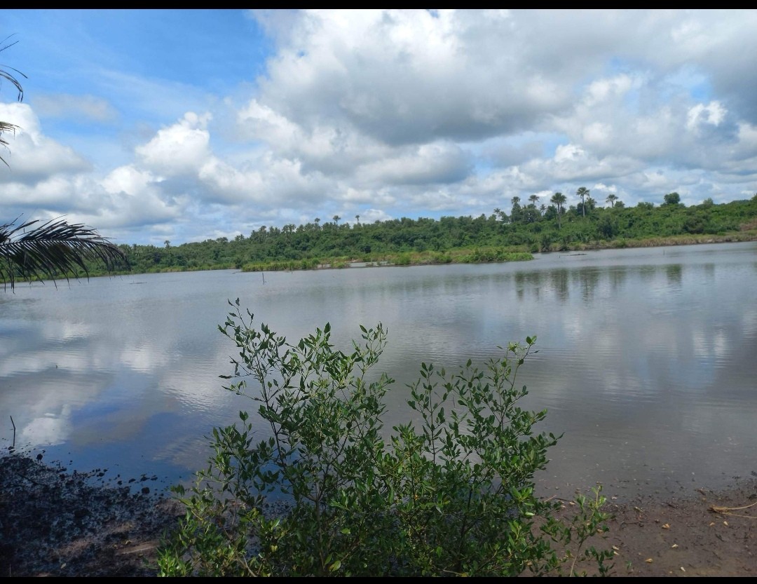 Fish Pond Property At Brgy. Sabang Sibunag, Guimaras Island on Carousell