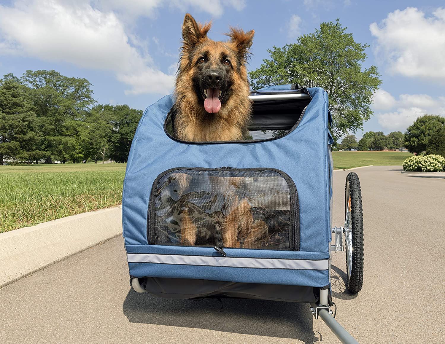 Large dog store carrier for bike