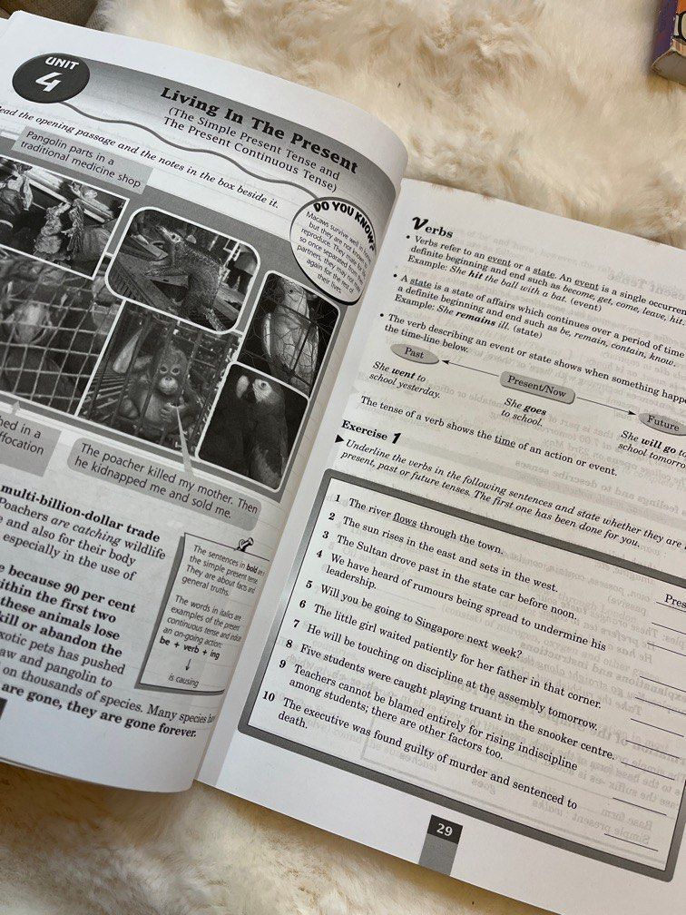 English Form 1/2/3 PT3 & Form 4 Grammar Workout, Hobbies & Toys, Books ...