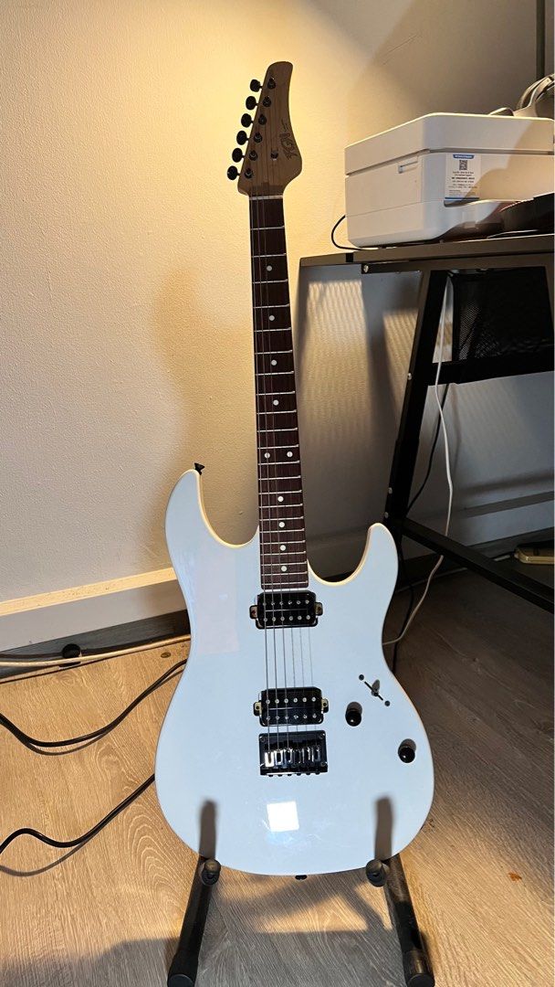 Fgn guitars 2025 for sale