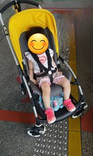 (Give Away) Bugaboo Bee Stroller