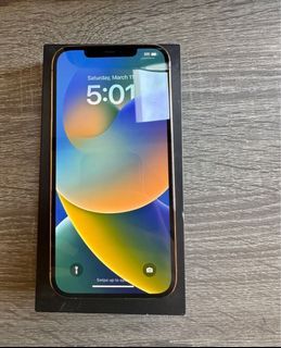 iPhone 12 Pro Max