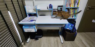(Category: ) located in . Submitted by biggly (Listing ID 1222717440, Image 1). Description: .