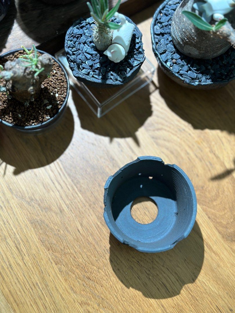 kikko 鉢 tamen 吉光窯 - 植物/観葉植物