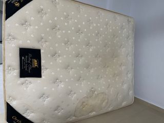 Max coil mattress