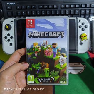 Minecraft switch game