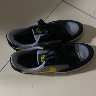 Nike sb