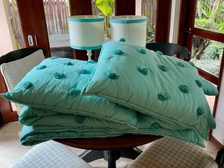 Pottery Barn Teen comforter and 2 matching shams