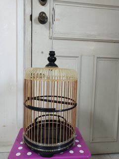 Puteh malaka  cage