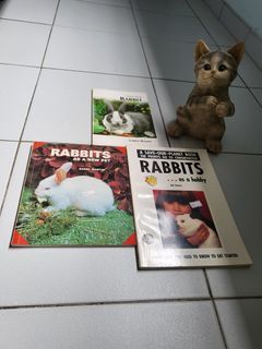 Rabbit Books