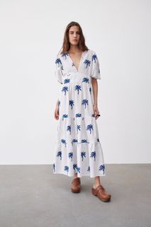 Zara Long Embroidery Dress