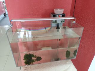 (Category: ) located in . Submitted by lin.t.edwin (Listing ID 1222847457, Image 1). Description: .