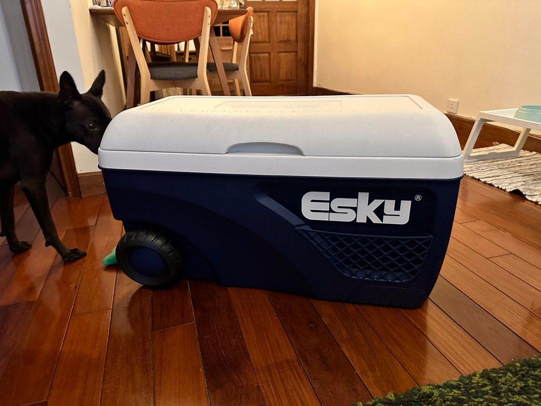 Esky for sale clearance
