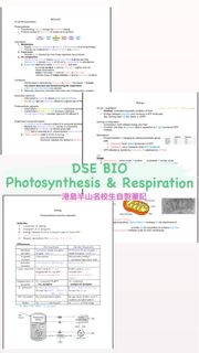（分類：）位於 。 由 helinachow 提交（商品編號 1222982415，圖片 1）。簡介： 。