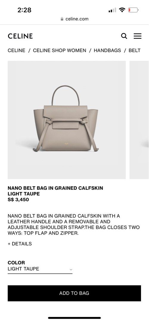 Nano Belt Bag Light Taupe – Style Theory SG
