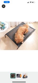 (Category: ) located in . Submitted by ax1969 (Listing ID 1222859261, Image 1). Description: .