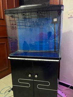 (Category: ) located in . Submitted by saf_mohd (Listing ID 1222902649, Image 1). Description: .
