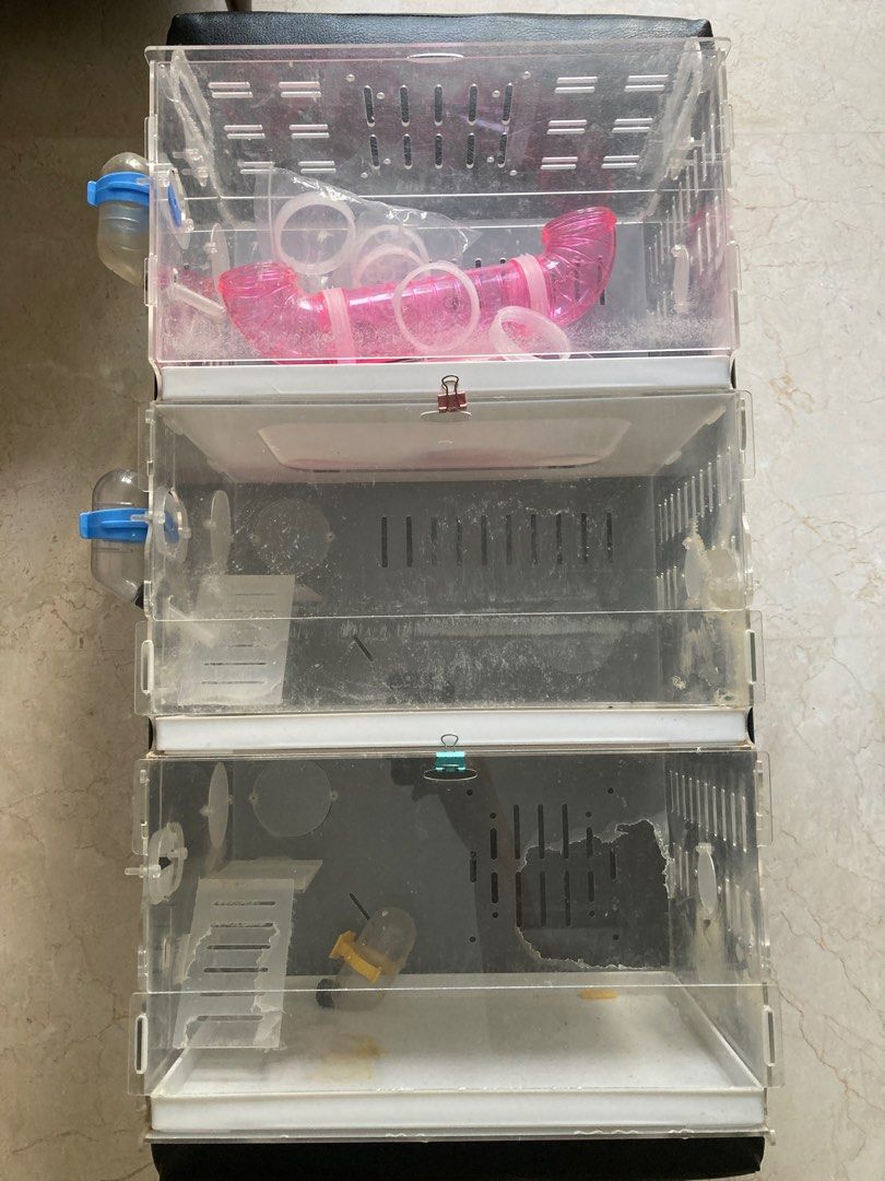 Hamster condo shop